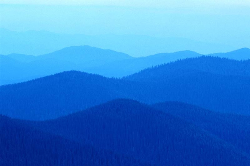 BlauerBerge.de