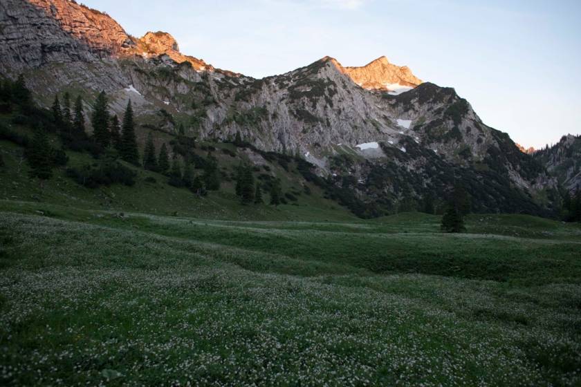 Alpenglühen Grüne Wiese mit Berge 8622