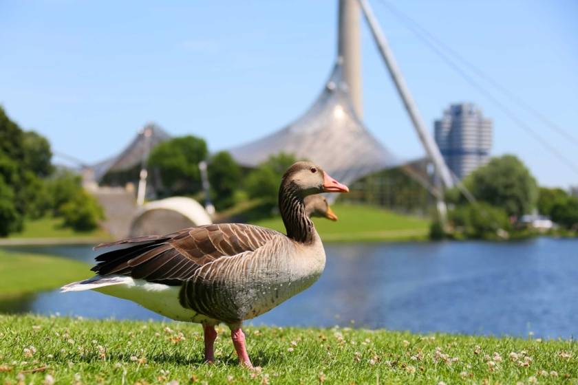 1049_olympiapark_muc_by_tommy_loesch.jpg