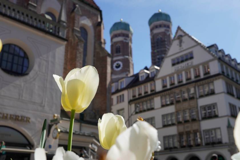 Frauenkirche _ALP4430.jpg
