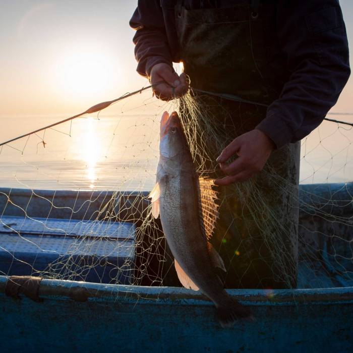 Eating fish in Munich simply Munich