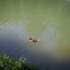 A duck swimming in a lake in Munich.