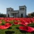 Action art: more than 3000 oversized poppies at Königsplatz in Munich