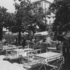 Several tables stand in a Munich beer garden at Rotkreuzplatz at the end of the 1980s