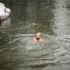 A bald man swims in a river in winter