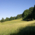 Summer hilly meadow on the edge of forest, blue sky in Munich