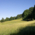 Summer hilly meadow on the edge of forest, blue sky in Munich