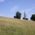 View over summer meadow to the Olympic tower in Munich in sunshine.