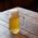 Un verre de bière légère avec de la mousse sur une table dans un pub de Munich
