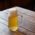 A glass of light beer with foam on a table in a Munich pub