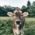 A grazing cow in the surrounding area of Munich.