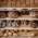 Different types of bread are sorted on a bread shelf.