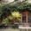 A backyard with tables, benches and lots of green in Munich.