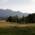 Meadows and trees in the Murnauer Moos near Munich