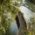 View through the green foliage onto the wooden walkway between Isar and Isarkanal.