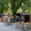 A beer garden with seating under trees in the summer in Munich.