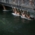 People swimming in the Eisbach in Munich.