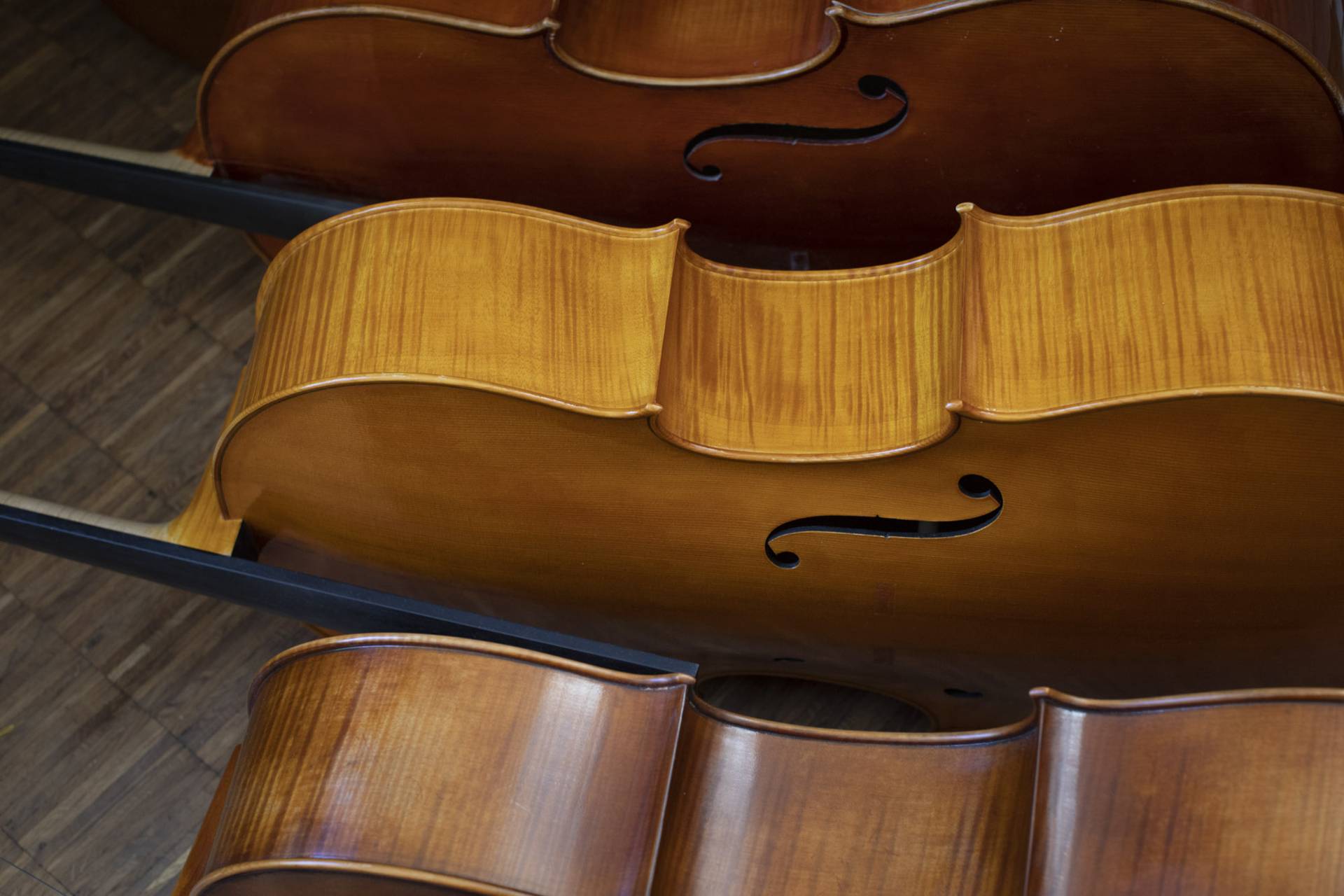 Martin schleske violin price hot sale