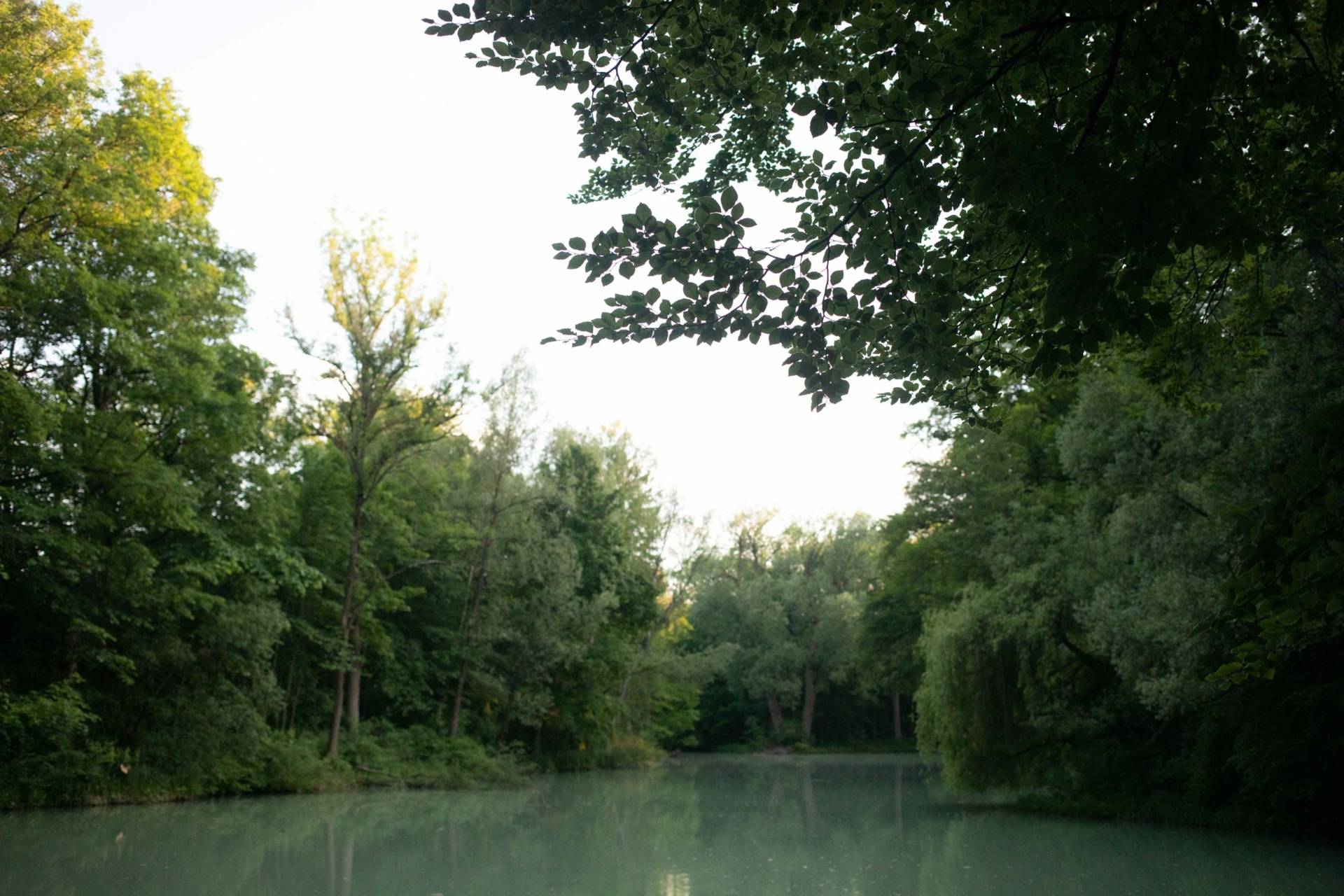 Wilderness In The Middle Of The City Simply Munich