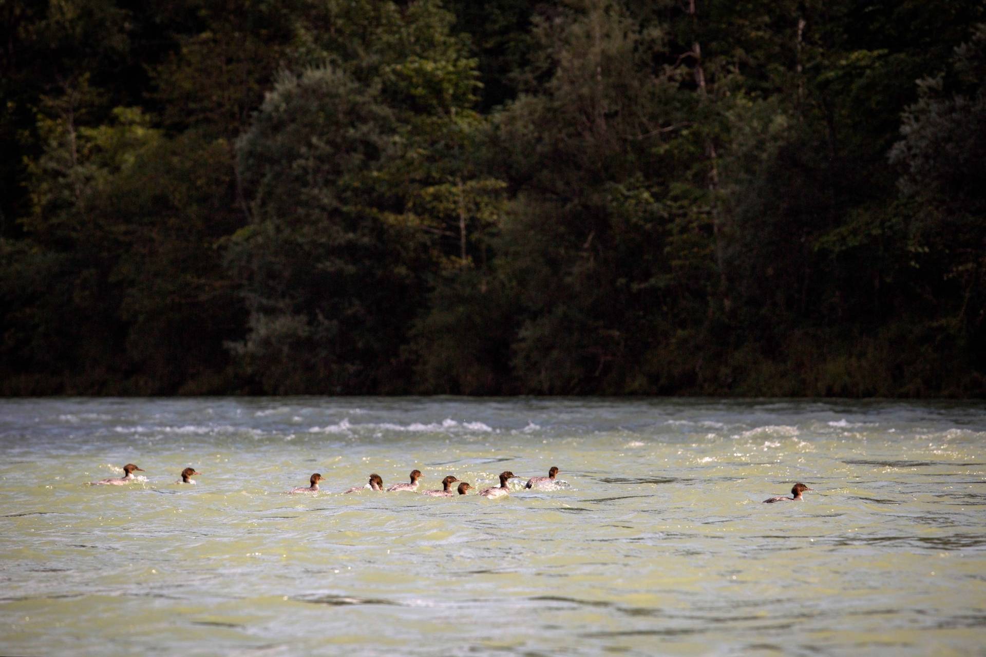 Canoeing On The Isar Simply Munich