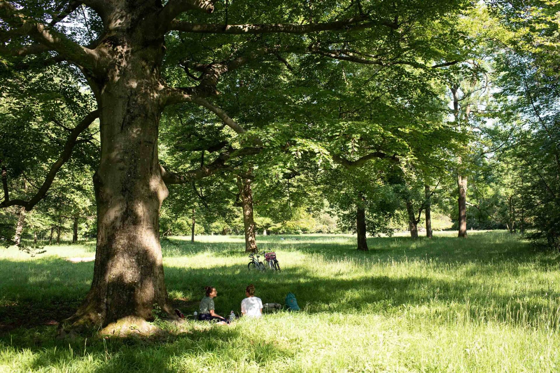 Wilderness In The Middle Of The City Simply Munich