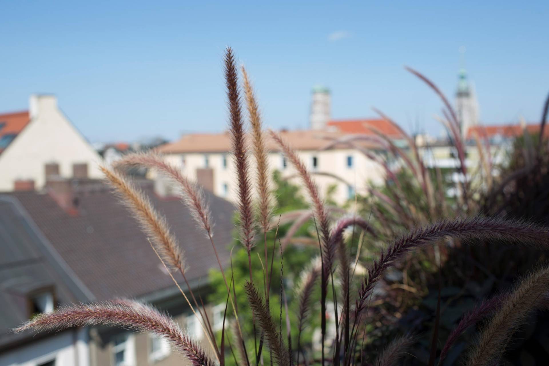 Eating And Drinking In The Open Air Simply Munich