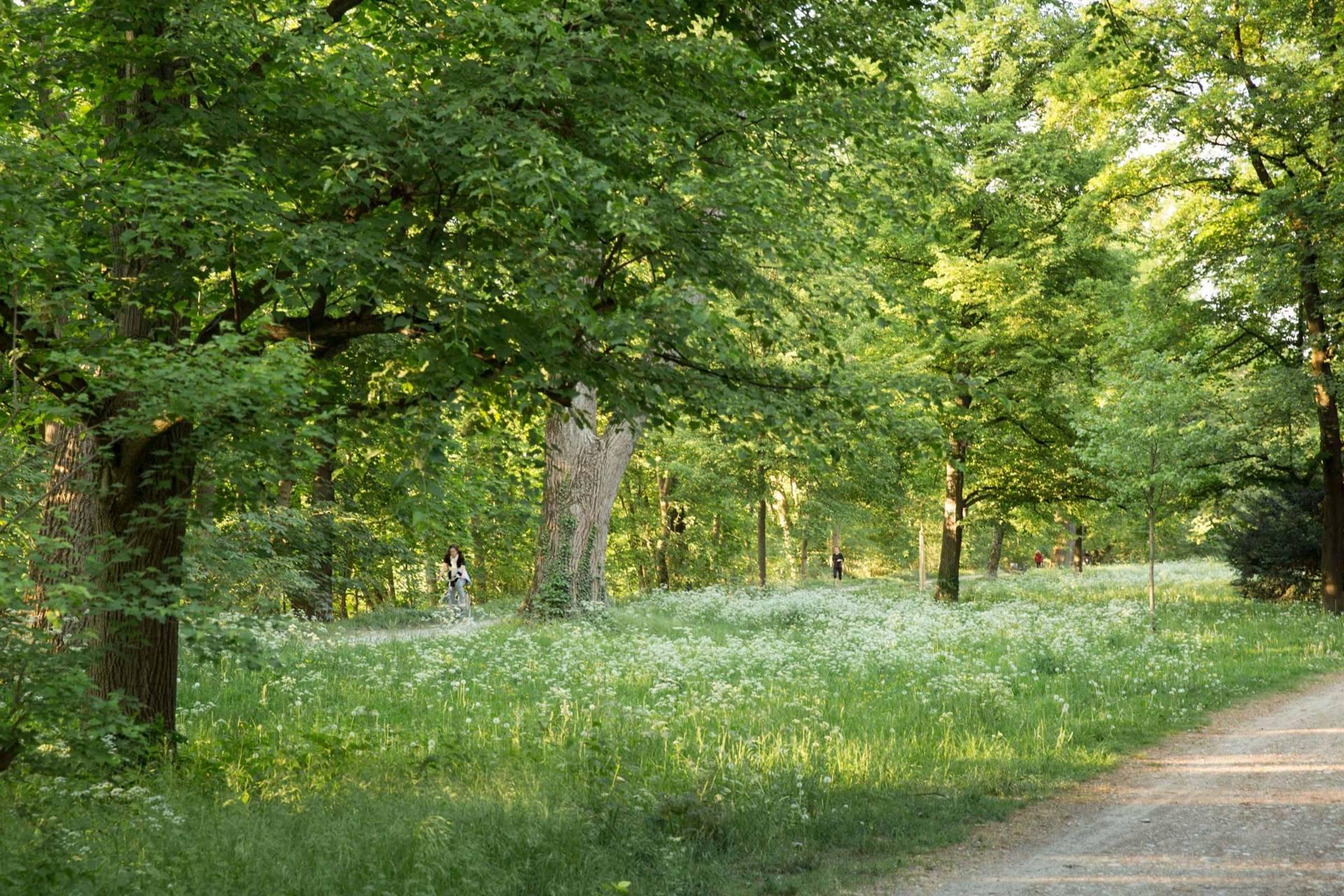 Bogenhausen Munich districts simply Munich