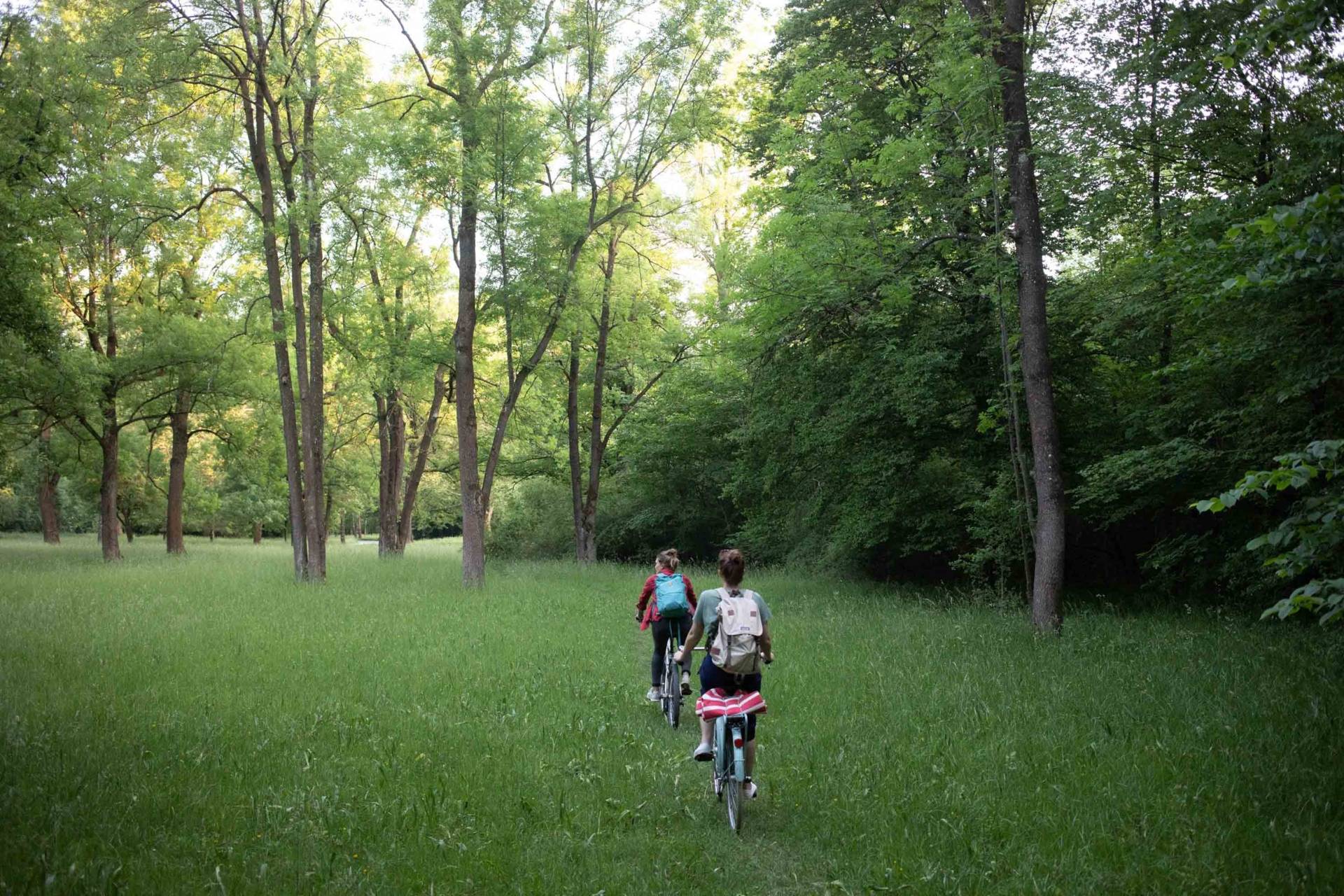 Wilderness In The Middle Of The City Simply Munich