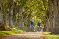 A man and a woman cycle through an avenue in summer.