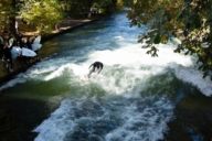 A surfer at the Eisbachwelle in the Englischer Garten in Munich.