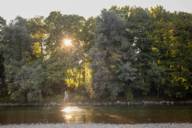 The sun shines through the green trees on the banks of the Isar in Munich.