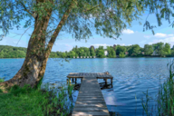 Jetty under an old willow tree by a lake in summer