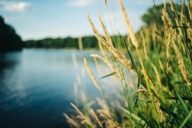 Shore along the river in Munich during summer