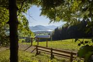 A bench stands in a forest with a view of Lake Tegernsee and the mountains