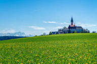 Andechs Monastery with Dandelion Meadow and Alpine Culisse