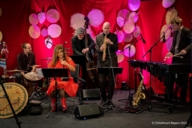 Musicians during the Bavarian Chinese Spring Festival 2021.