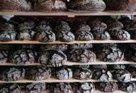 Ein Brotwagen in der Bäckerei von Julius Brantner.