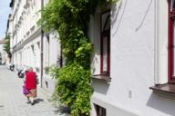 An elderly lady is walking along the pavement of Sedanstraße in Munich.