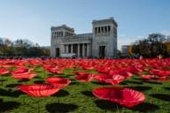 Action art: more than 3000 oversized poppies at Königsplatz in Munich