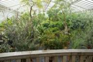 From a balcony you have a view of various plants in the Botanical Garden in Munich
