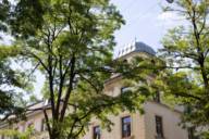 A house top rises through the treetops in Volkartstrasse in Munich-Neuhausen.