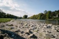 City river Isar with trees and meadow in summer in Munich