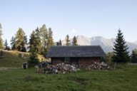 A wooden hut for storing firewood on a meadow in the mountains.