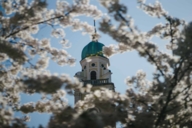 The church tower of Sankt Joseph in the Maxvorstadt district in Munich between blossoming branches