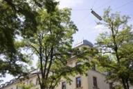 A house top rises through the treetops in Volkartstrasse in Munich-Neuhausen.