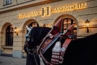 You can see a black horse with a harness standing in front of the Haxengrill restaurant in Munich, in the evening.