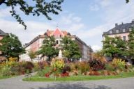 Blumenbeet am Gärtnerplatz in München.