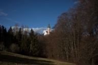 The church tower of the monastery Andechs rises through the trees