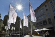 Flags for the ESC Congress in the pedestrian zone in Munich