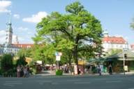 View of the Viktualienmarkt in Munich